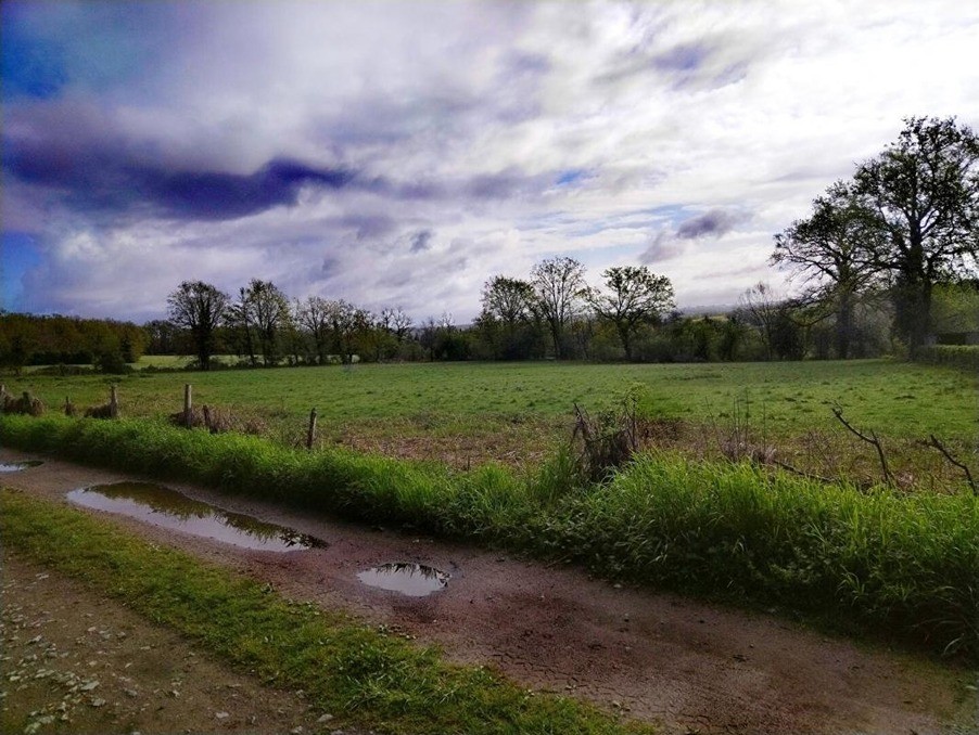 Vente Terrain à Chassenon 0 pièce