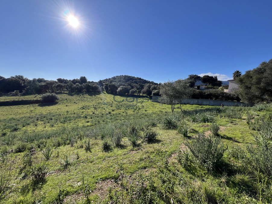 Vente Terrain à Afa 0 pièce