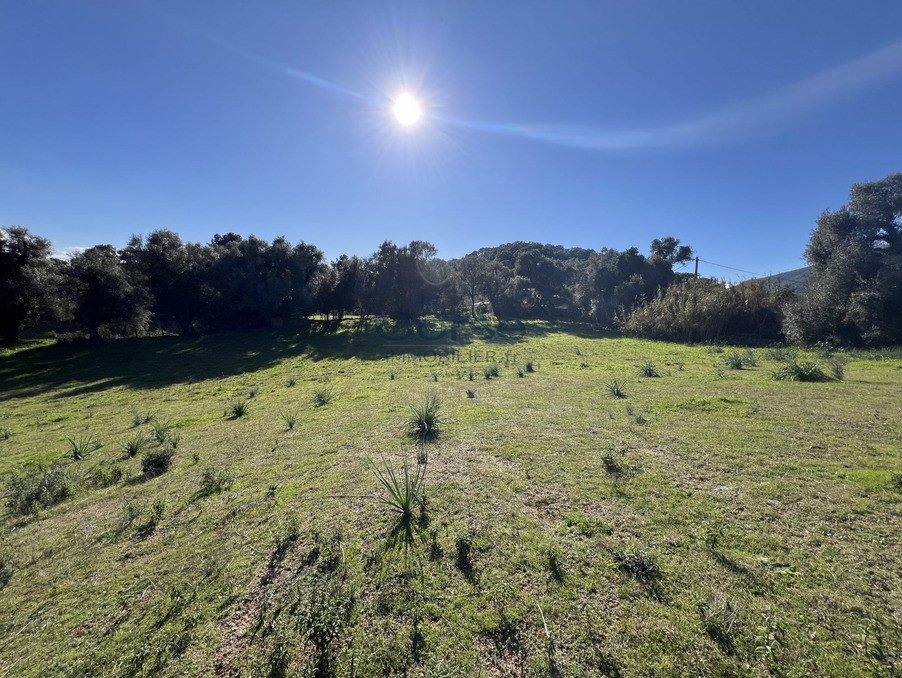 Vente Terrain à Afa 0 pièce