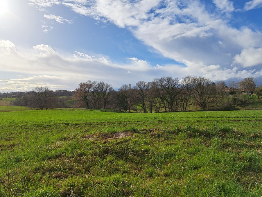 Vente Terrain à Aurignac 0 pièce