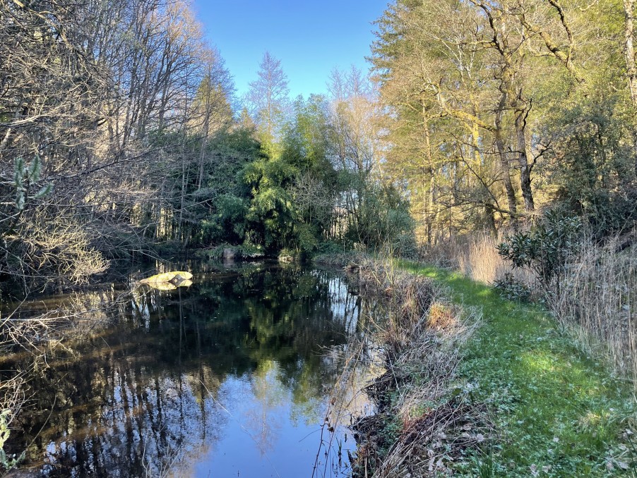 Vente Maison à Peyrat-le-Château 4 pièces