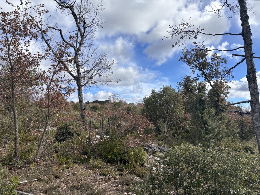 Vente Terrain à Saint-Julien 0 pièce