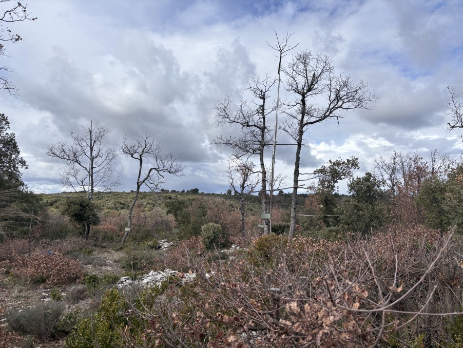 Vente Terrain à Saint-Julien 0 pièce