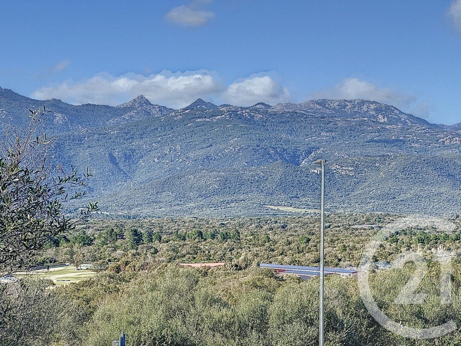 Vente Terrain à Porto-Vecchio 0 pièce