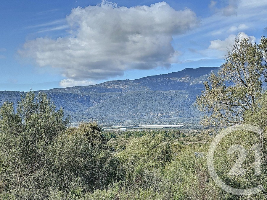 Vente Terrain à Porto-Vecchio 0 pièce