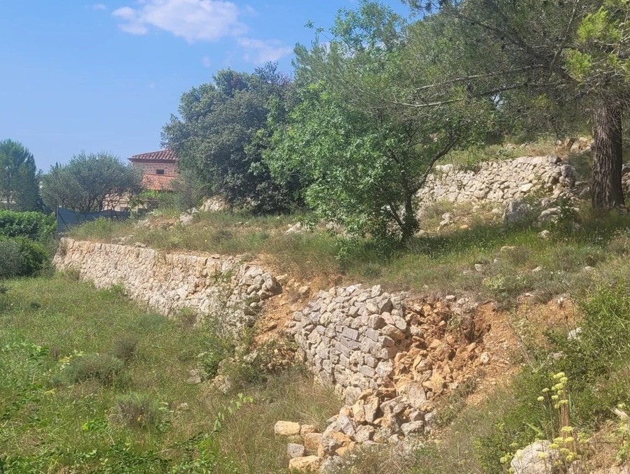 Vente Terrain à Carcès 0 pièce