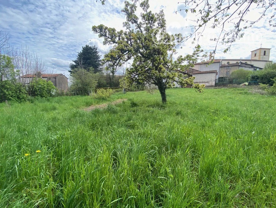 Vente Terrain à Tarare 0 pièce