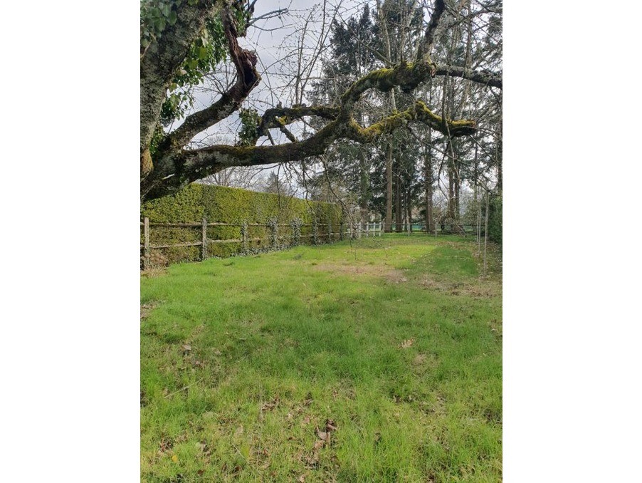 Vente Terrain à Châteauneuf-sur-Loire 0 pièce