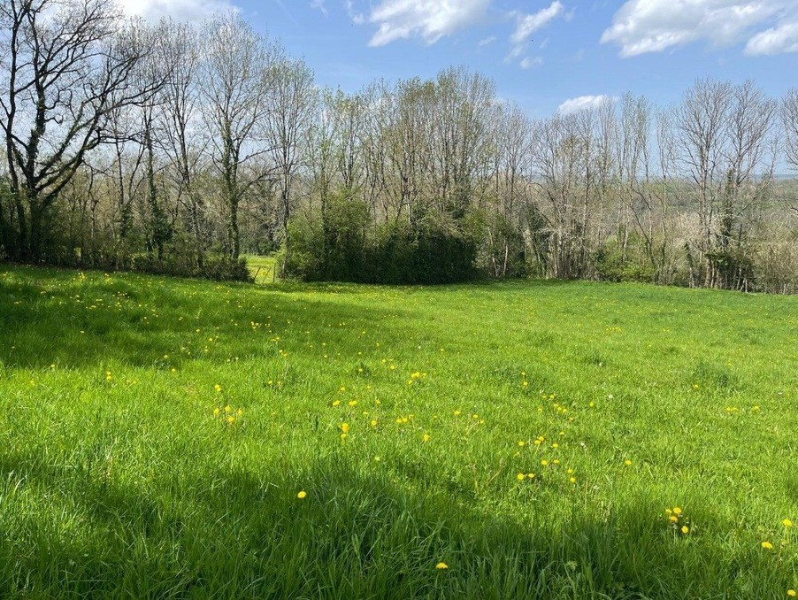 Vente Terrain à Dun-le-Palestel 0 pièce