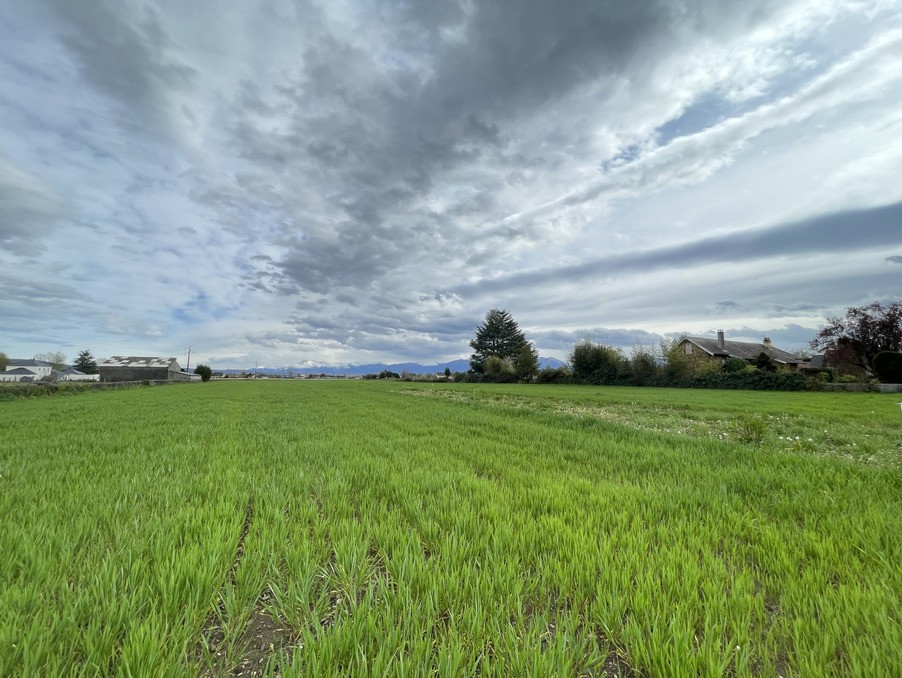 Vente Terrain à Bordes 0 pièce