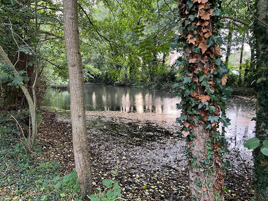 Vente Terrain à Falaise 0 pièce