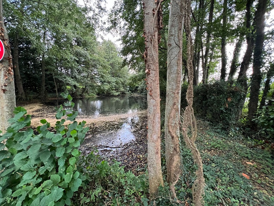 Vente Terrain à Falaise 0 pièce