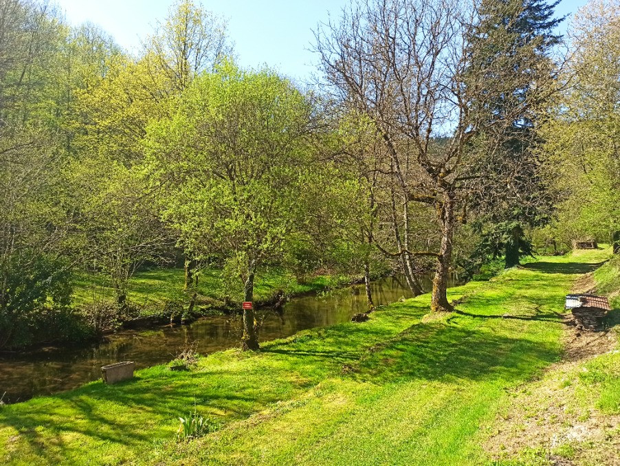 Vente Maison à Castres 10 pièces