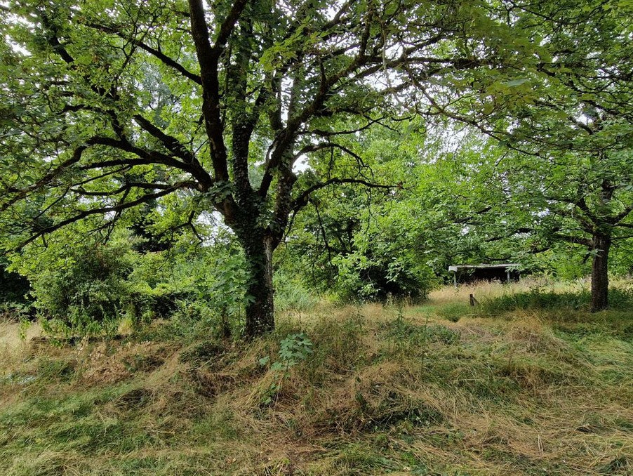 Vente Terrain à Trept 0 pièce