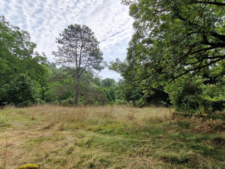 Vente Terrain à Trept 0 pièce