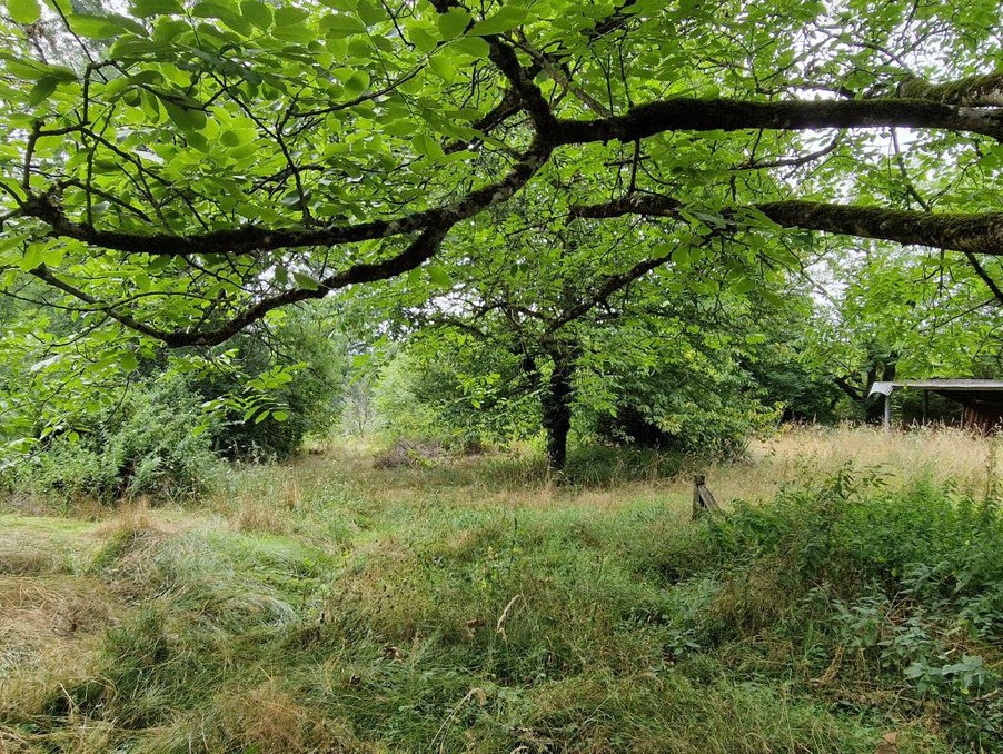 Vente Terrain à Trept 0 pièce