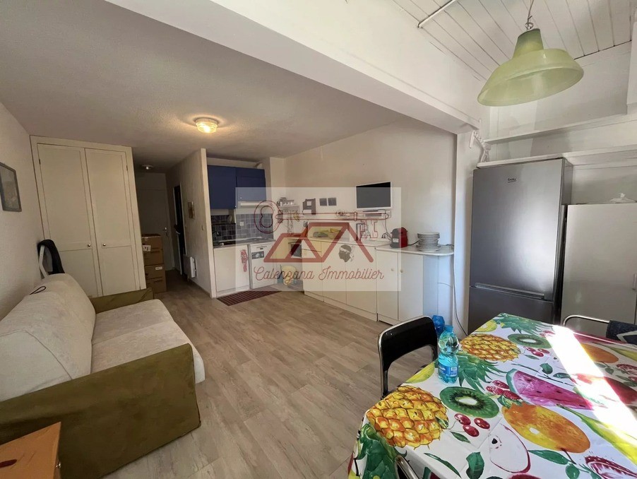 Vente Appartement à Calvi 1 pièce