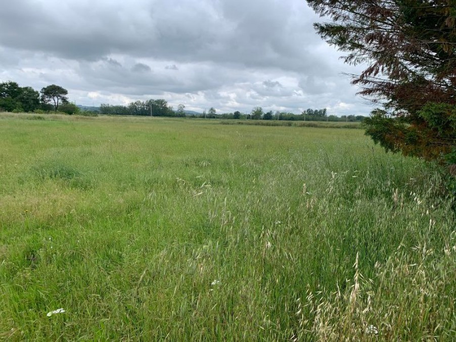 Vente Terrain à Auterive 0 pièce