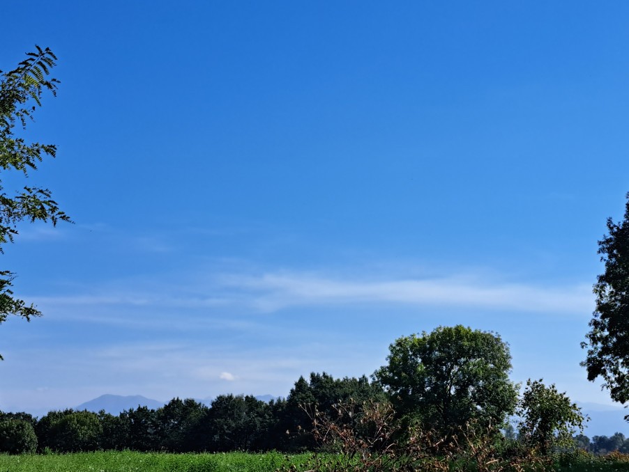 Vente Terrain à Auterive 0 pièce