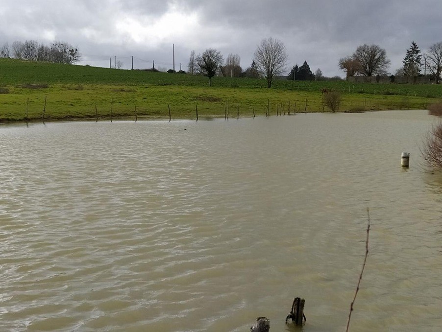 Vente Terrain à Vaiges 0 pièce