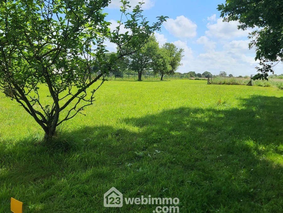 Vente Terrain à Talmont-Saint-Hilaire 0 pièce