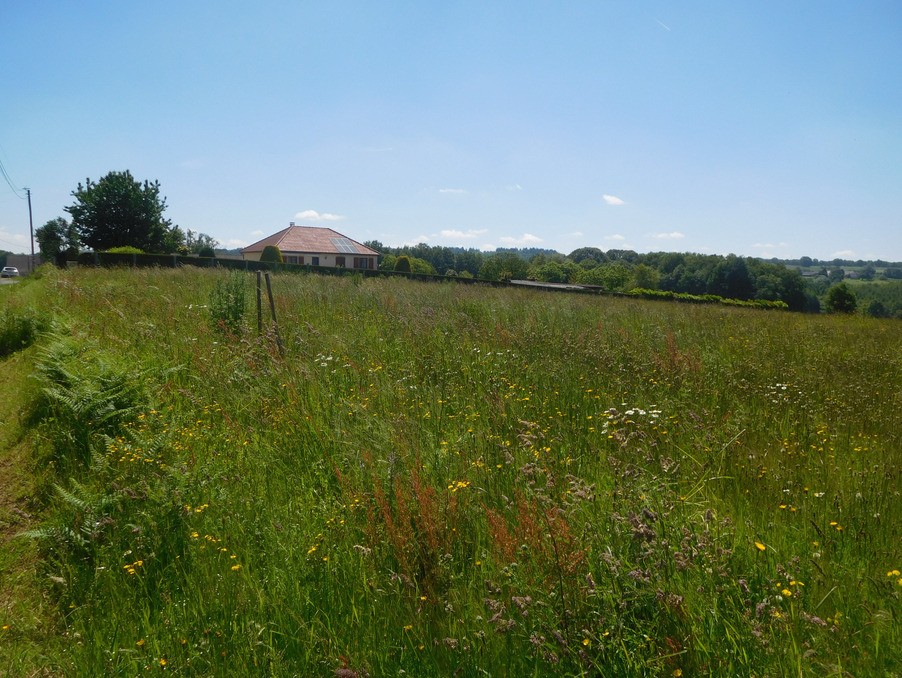 Vente Terrain à Saint-Yrieix-la-Perche 0 pièce