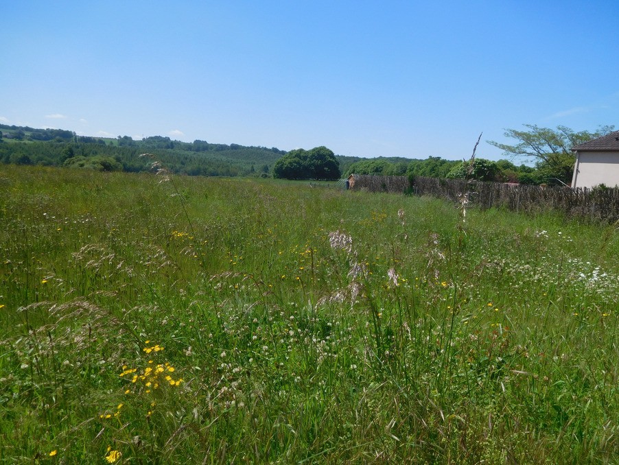 Vente Terrain à Saint-Yrieix-la-Perche 0 pièce