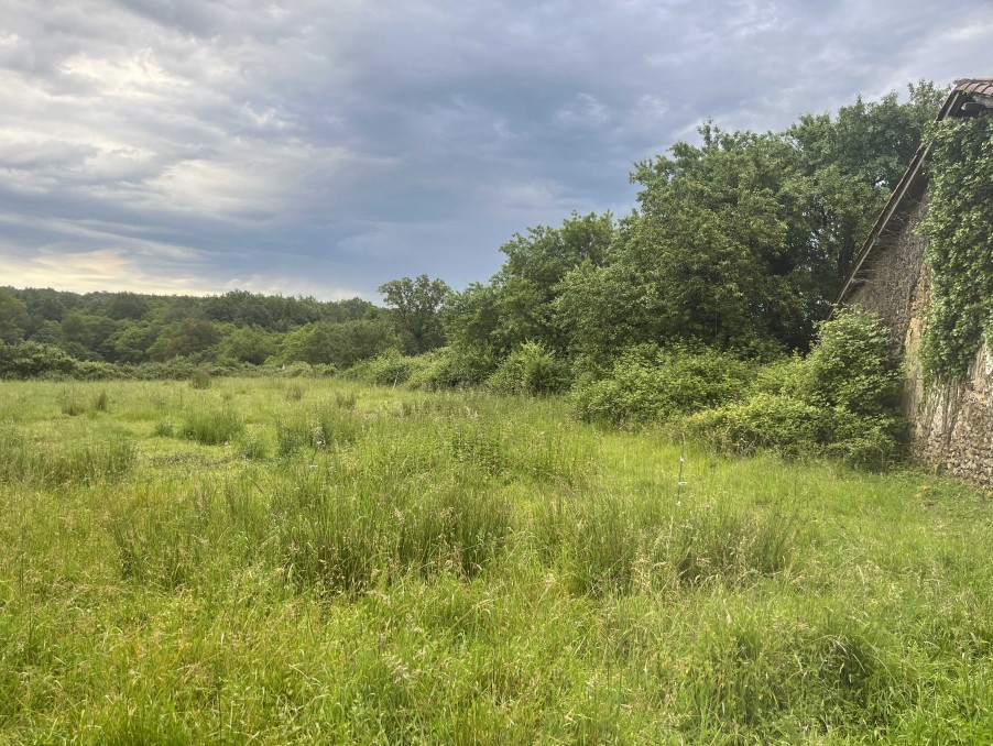 Vente Terrain à Chasseneuil-sur-Bonnieure 0 pièce