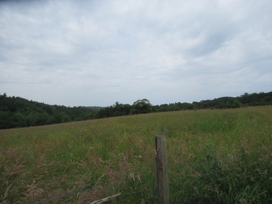 Vente Terrain à Saint-Yrieix-la-Perche 0 pièce