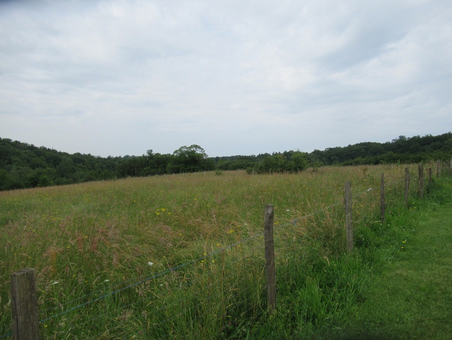 Vente Terrain à Saint-Yrieix-la-Perche 0 pièce