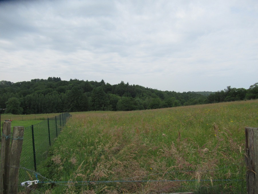 Vente Terrain à Saint-Yrieix-la-Perche 0 pièce