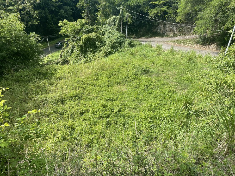 Vente Terrain à le Gosier 0 pièce