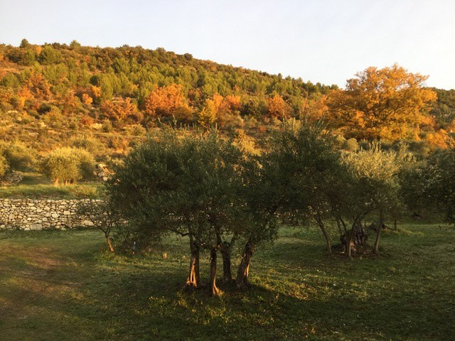 Vente Maison à Manosque 10 pièces