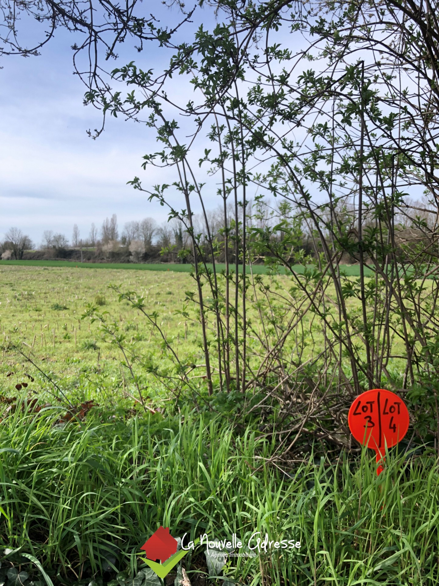 Vente Terrain à Frontenay-Rohan-Rohan 0 pièce