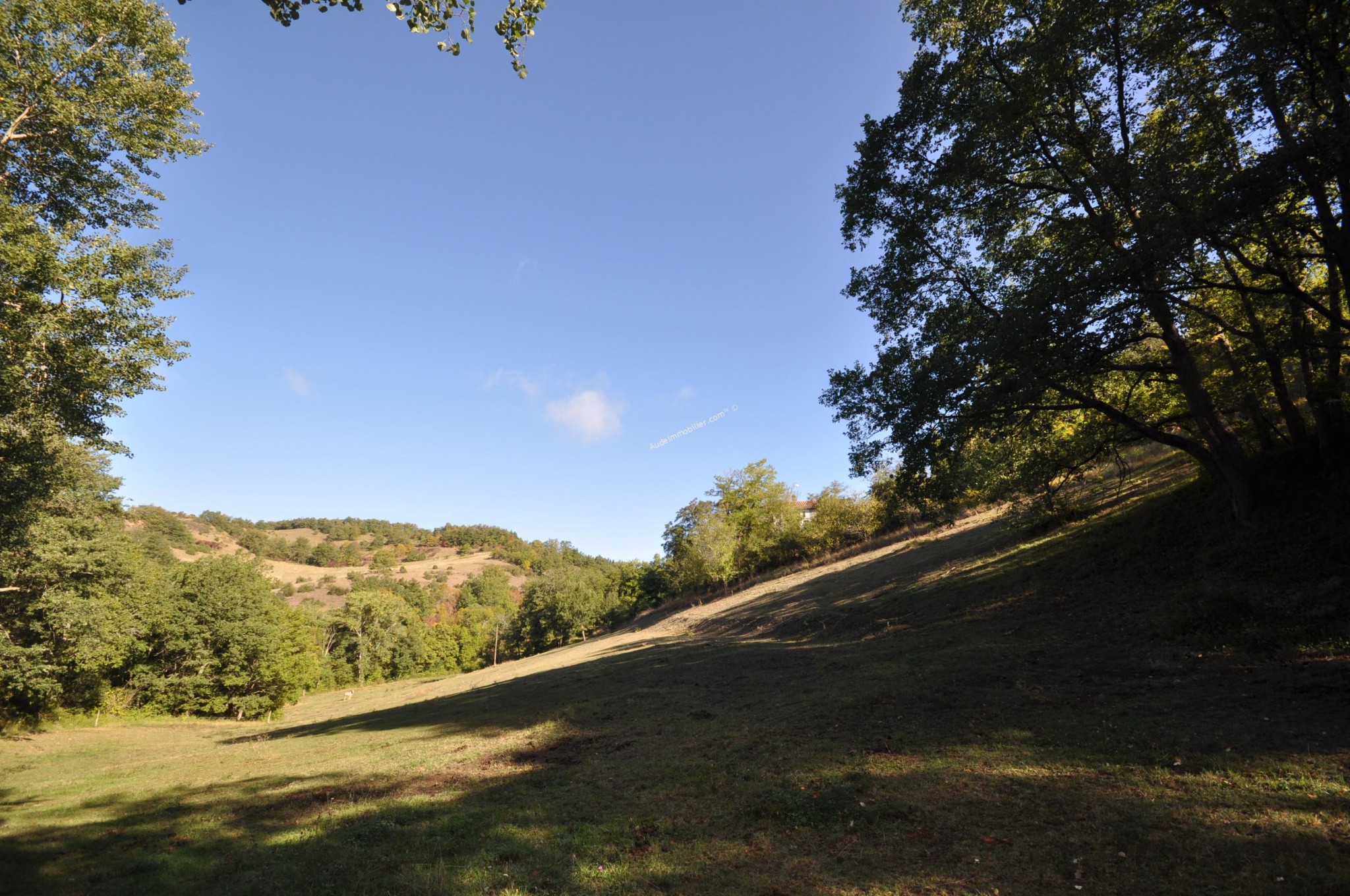 Vente Maison à Mirepoix 16 pièces