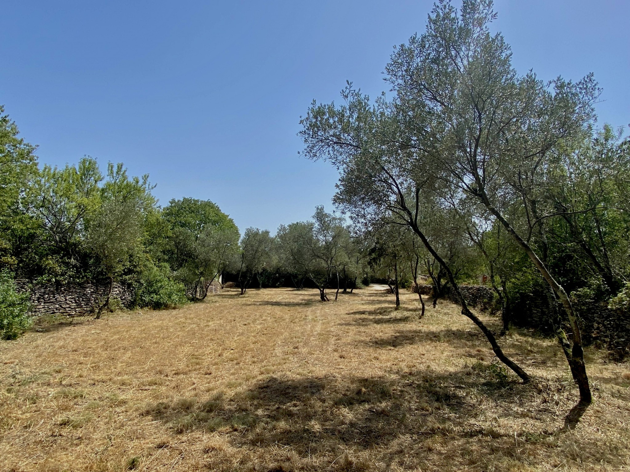 Vente Terrain à Uzès 0 pièce