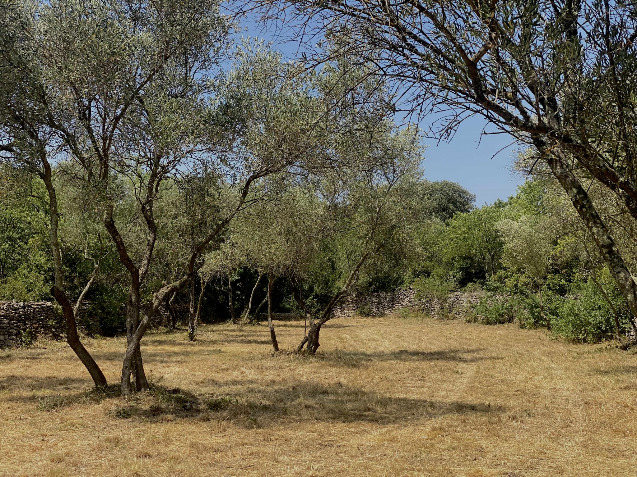 Vente Terrain à Uzès 0 pièce