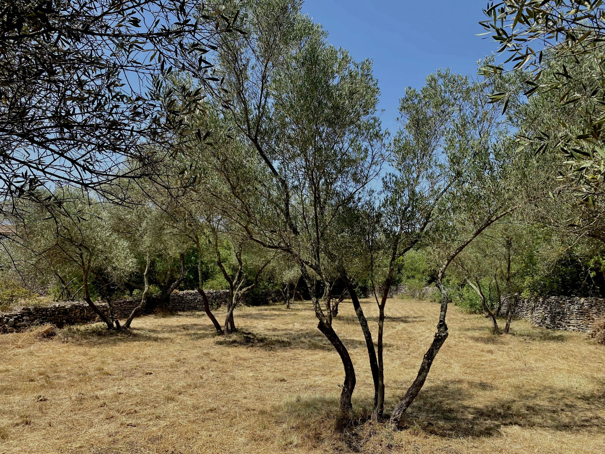 Vente Terrain à Uzès 0 pièce