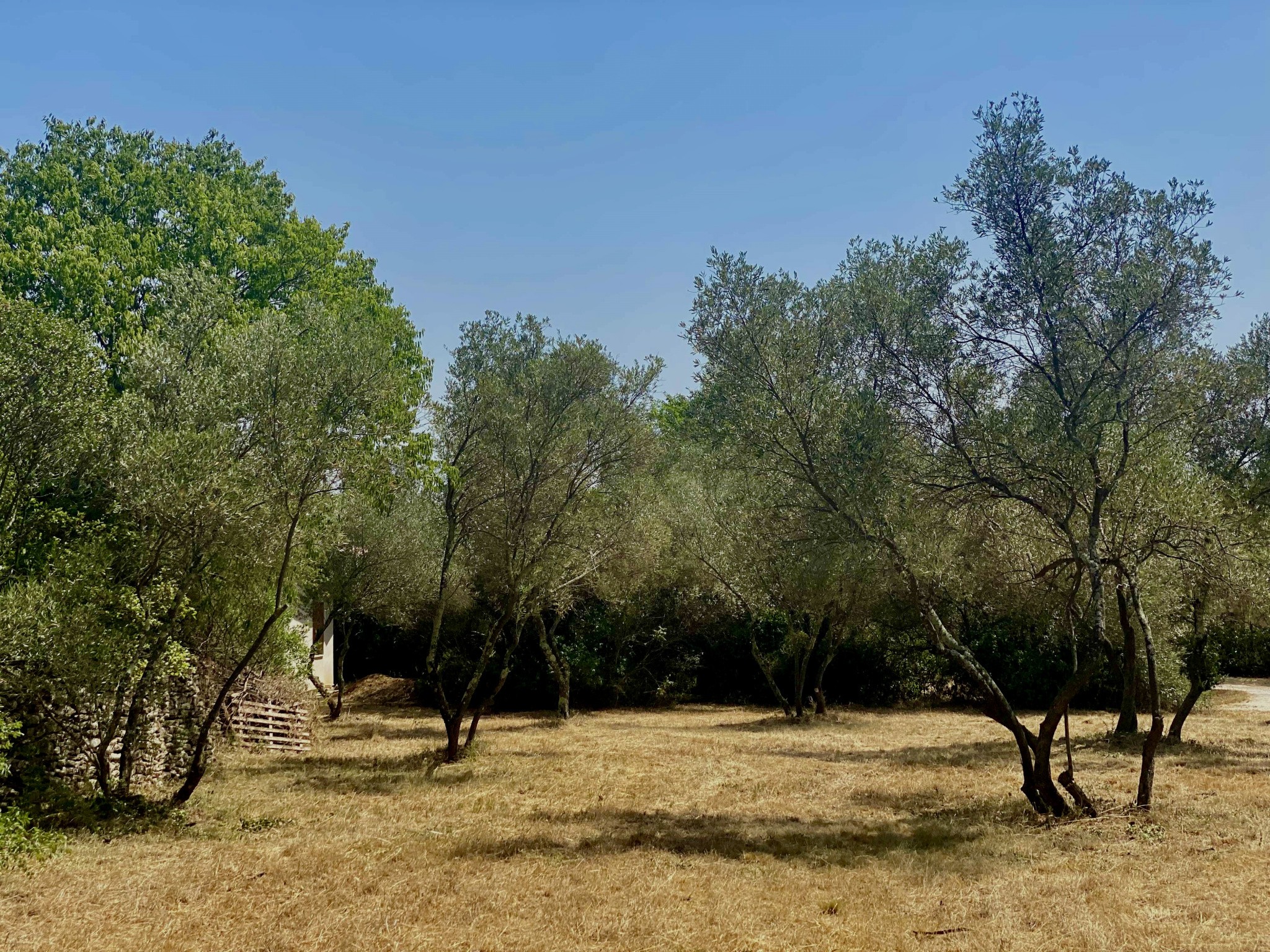 Vente Terrain à Uzès 0 pièce