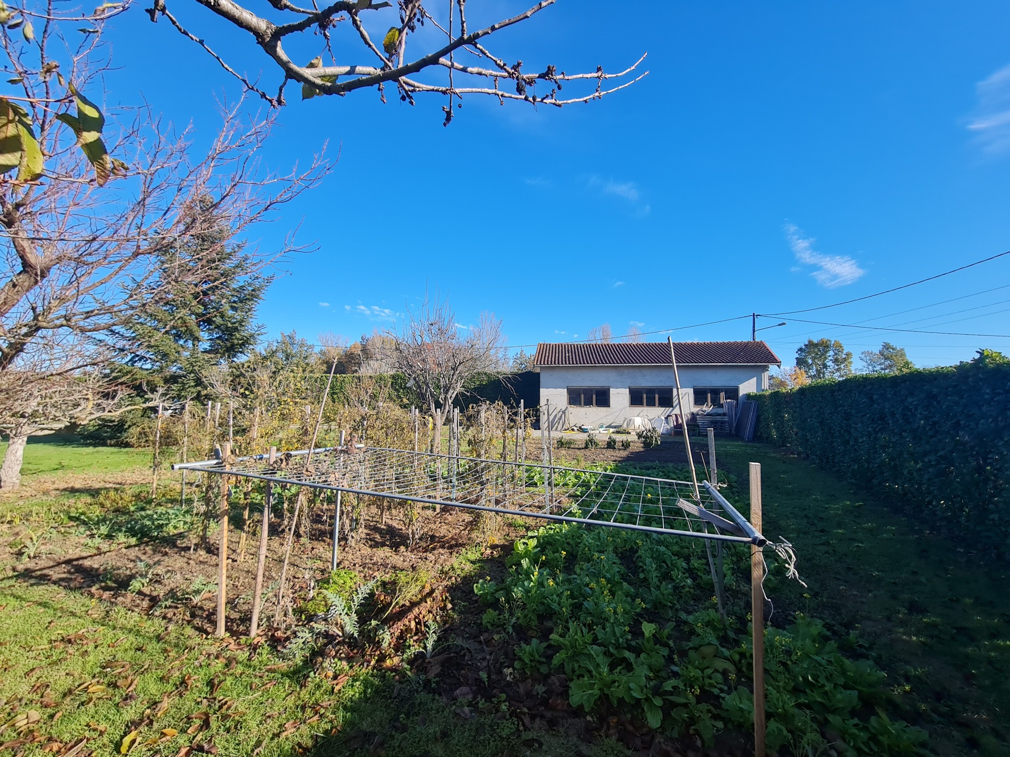 Vente Terrain à Saint-Sulpice-sur-Lèze 0 pièce