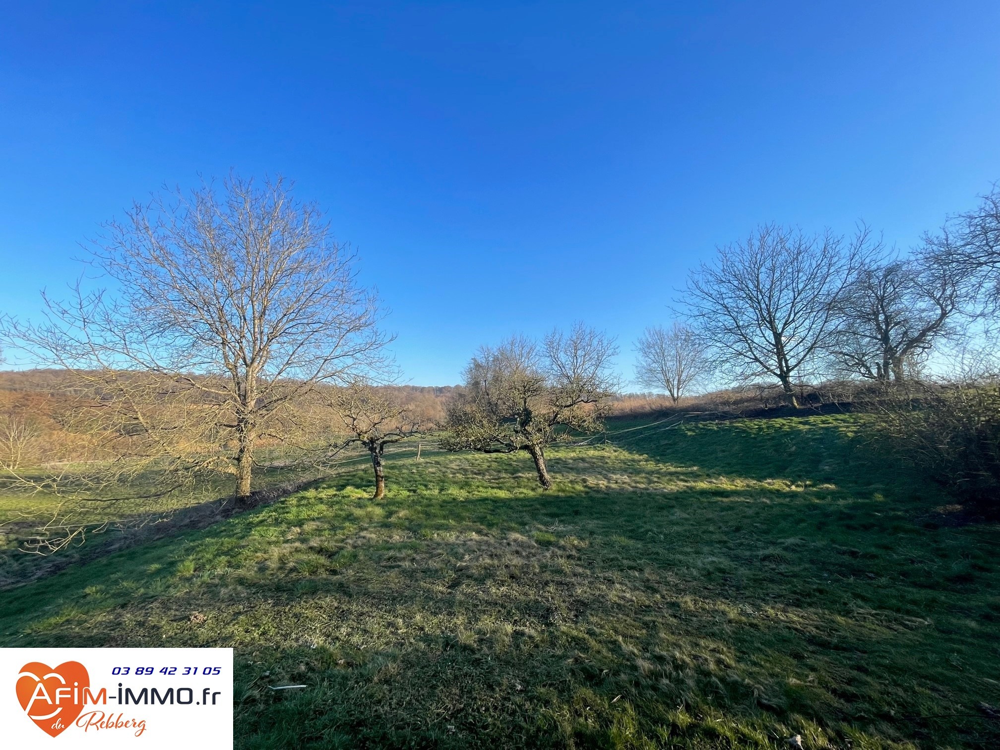 Vente Maison à Steinbrunn-le-Haut 7 pièces