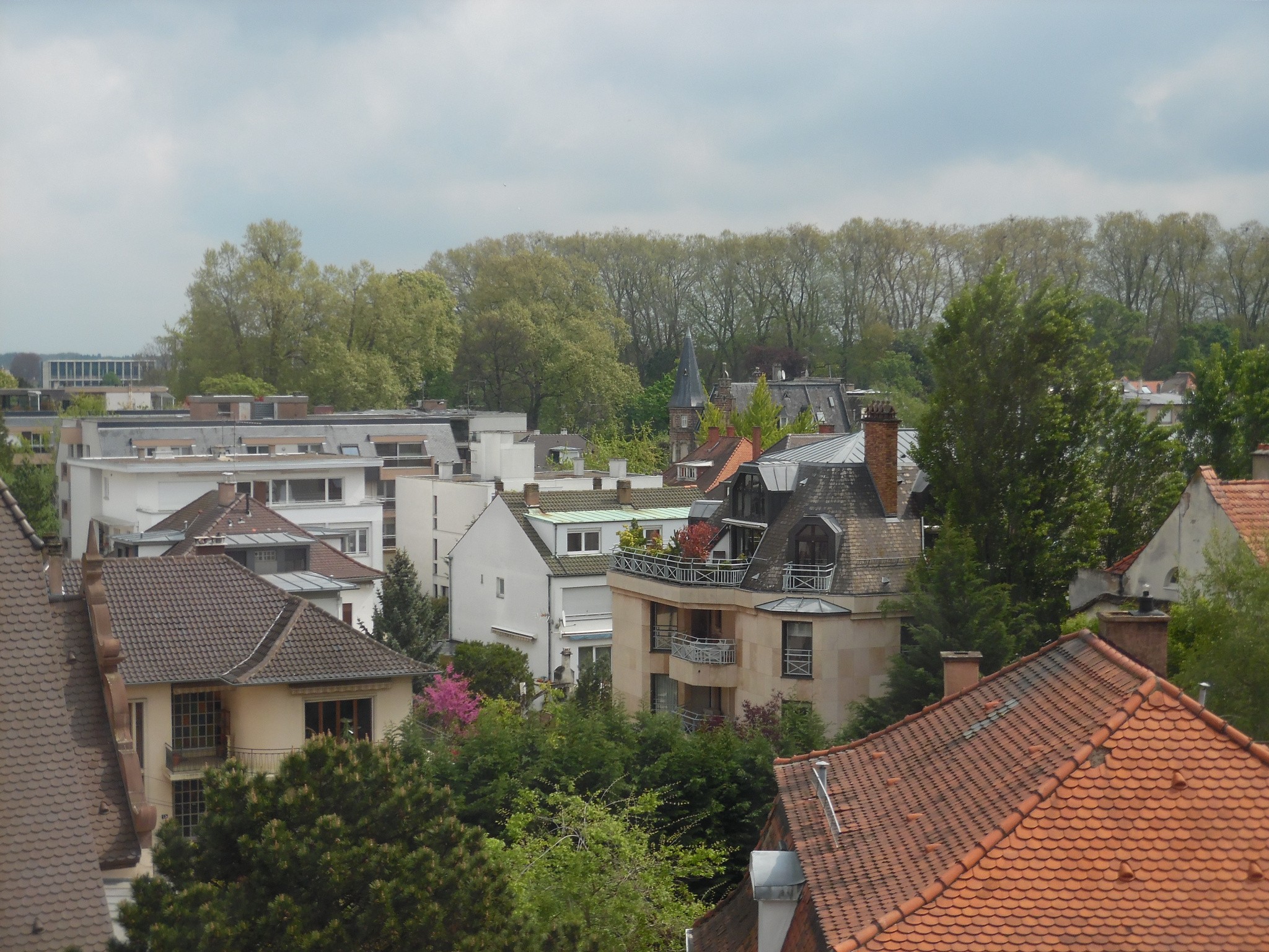 Location Appartement à Strasbourg 4 pièces