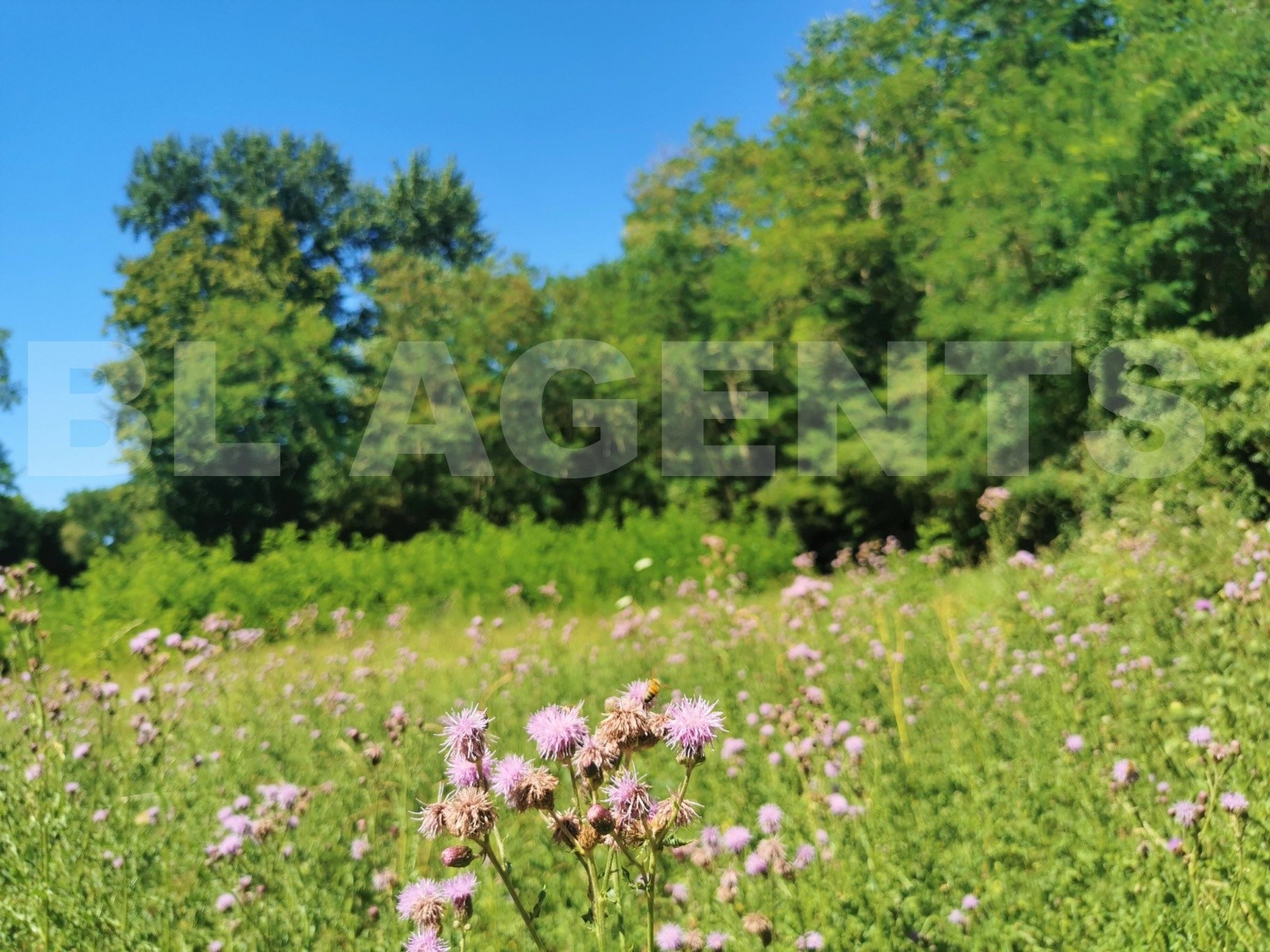 Vente Terrain à Coulommiers 0 pièce