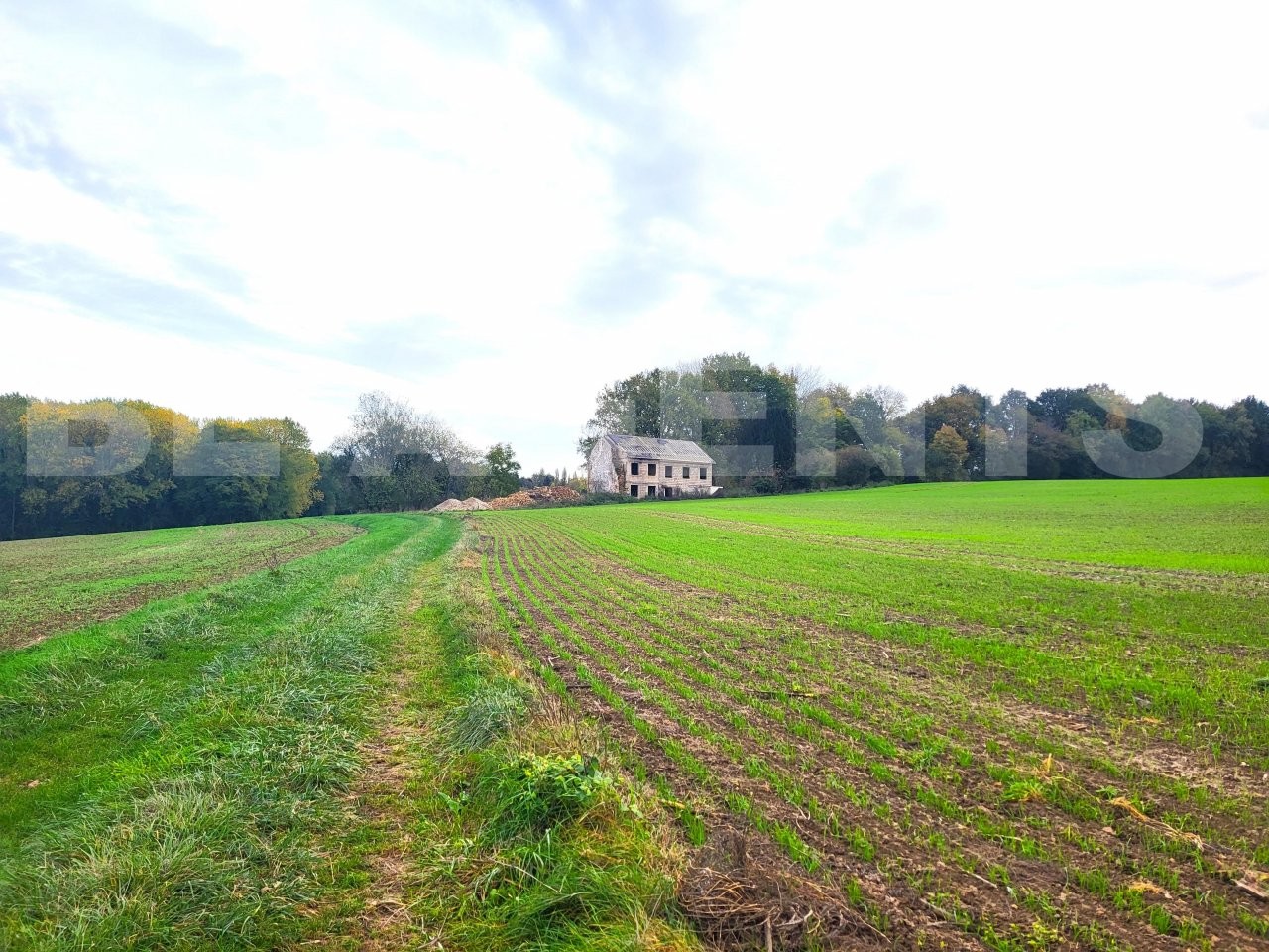 Vente Terrain à Coulommiers 0 pièce