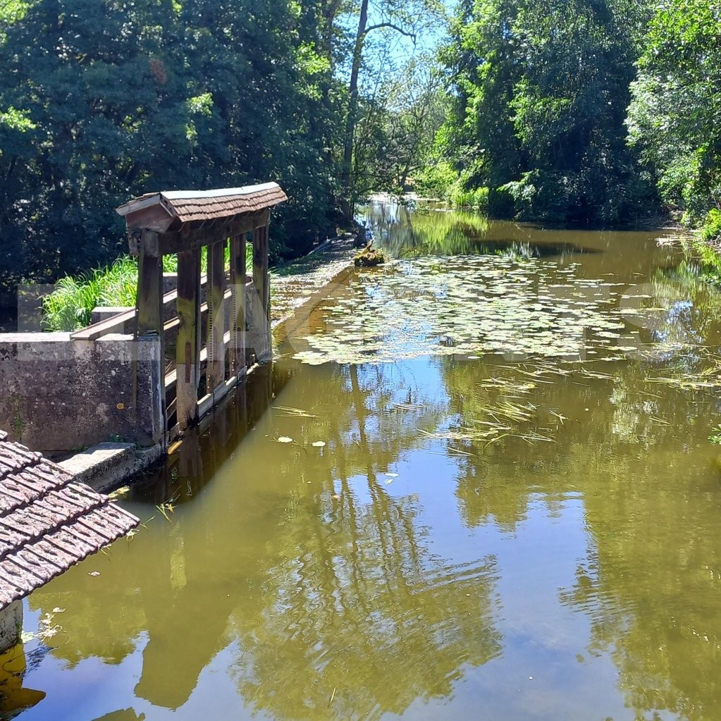 Vente Maison à Noyers 7 pièces