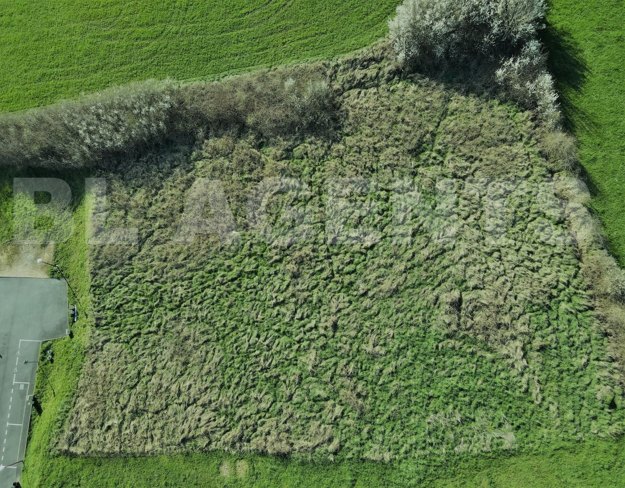 Vente Terrain à Blagny 0 pièce