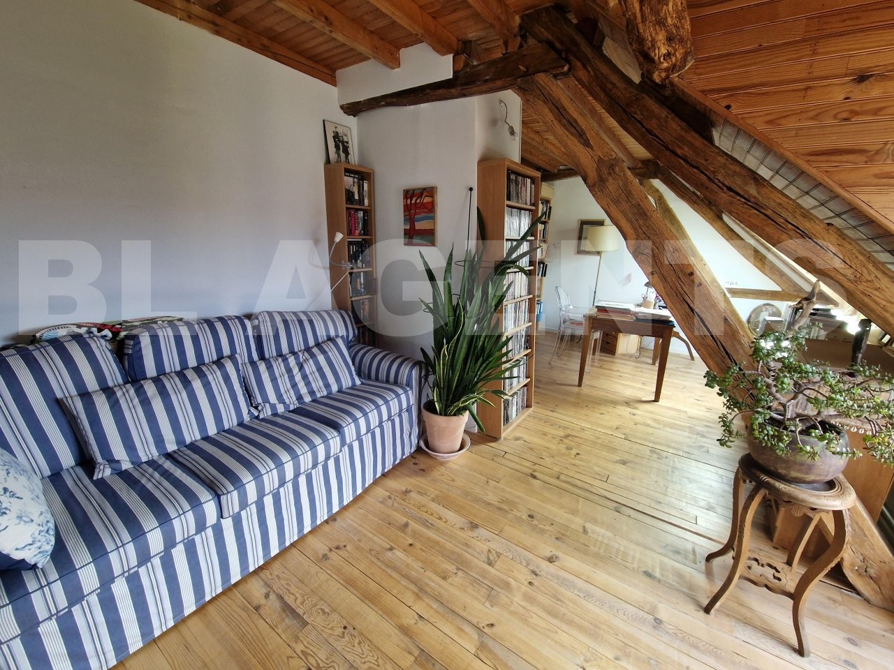 Vente Maison à Bray-sur-Seine 12 pièces