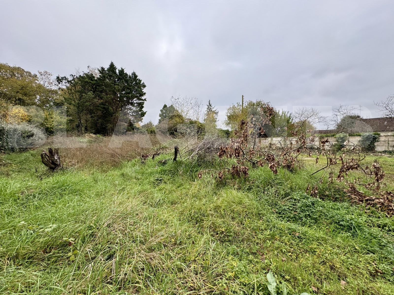 Vente Terrain à Amilly 0 pièce