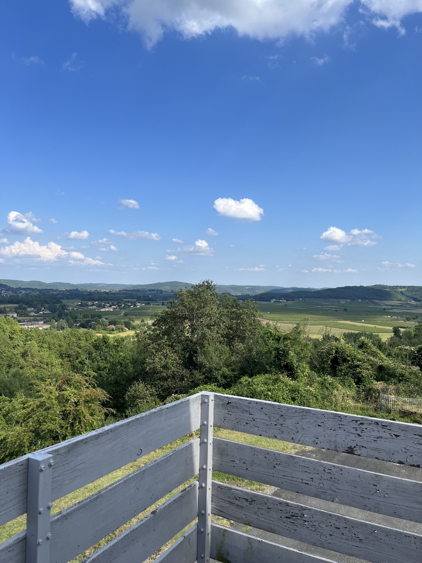 Viager Maison à Puy-l'Évêque 9 pièces