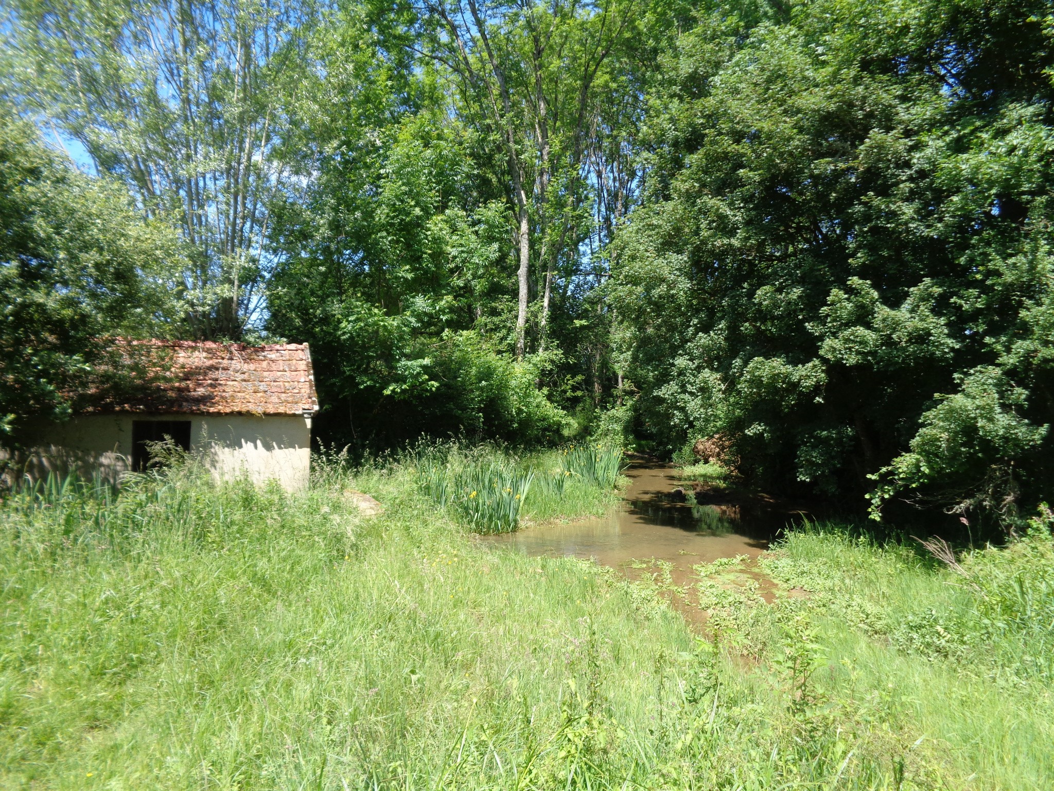 Vente Maison à Saint-Benin-des-Bois 3 pièces